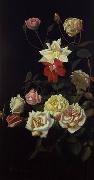 unknow artist Still life floral, all kinds of reality flowers oil painting 32 painting